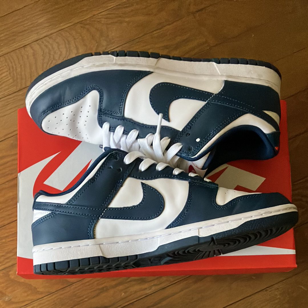 Nike Dunk Low "Valerian Blue"