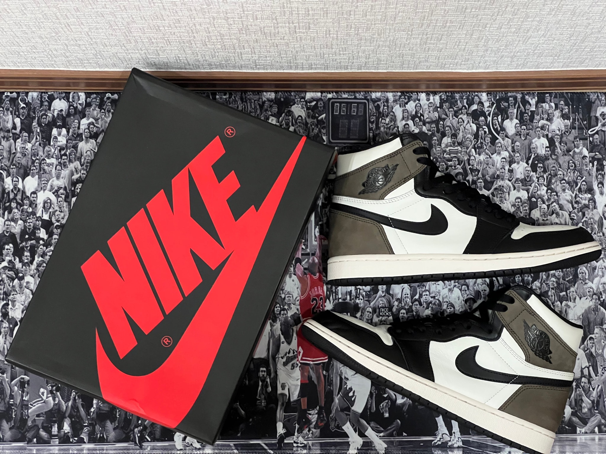 Nike Air Jordan 1 High OG "Sail/Dark Mocha/Black"