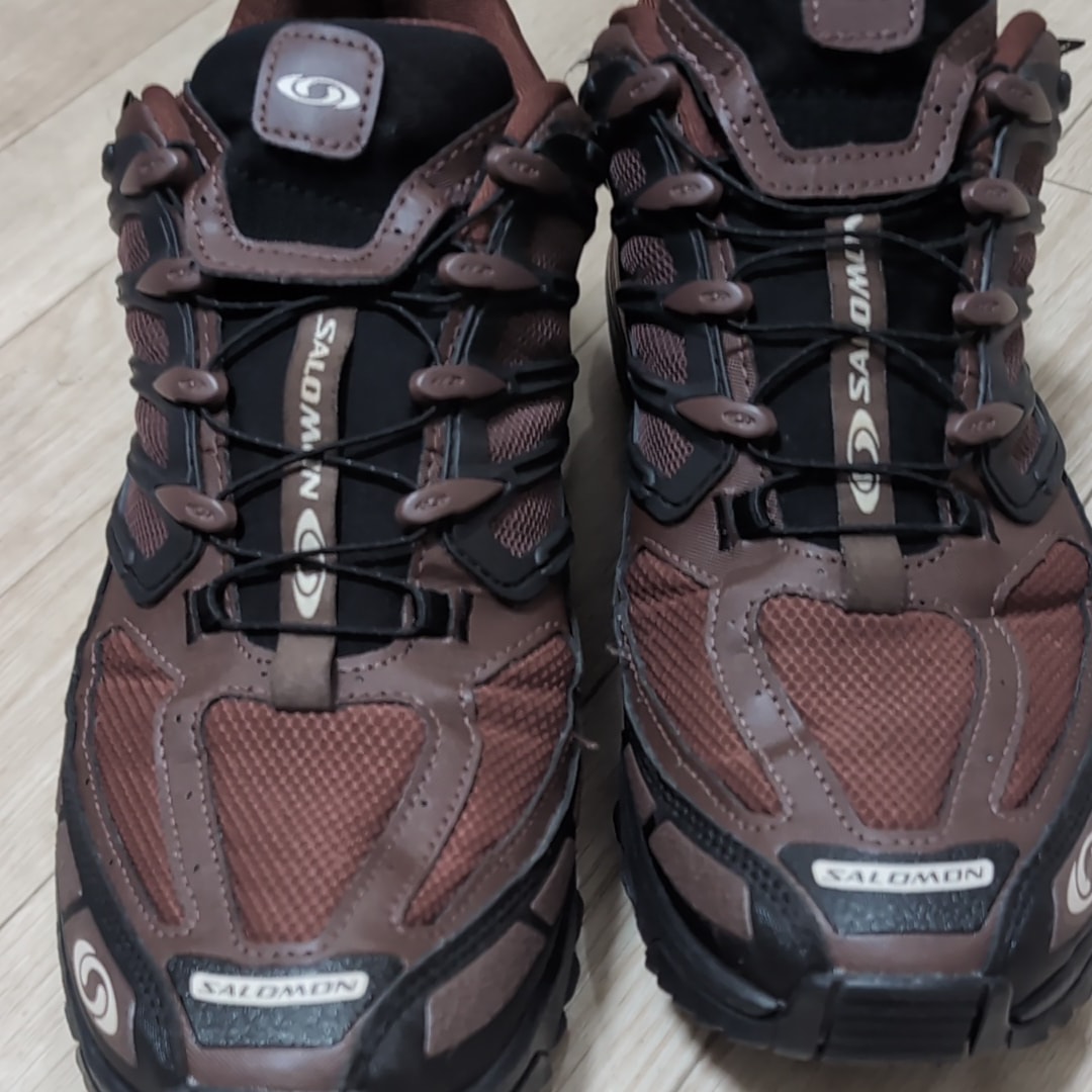 サロモン ACS プロ ゴアテックス "ローステッドクレイ/ブラック/ラムレーズン"