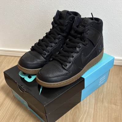 Nike SB Zoom Dunk High Pro "Antihero"