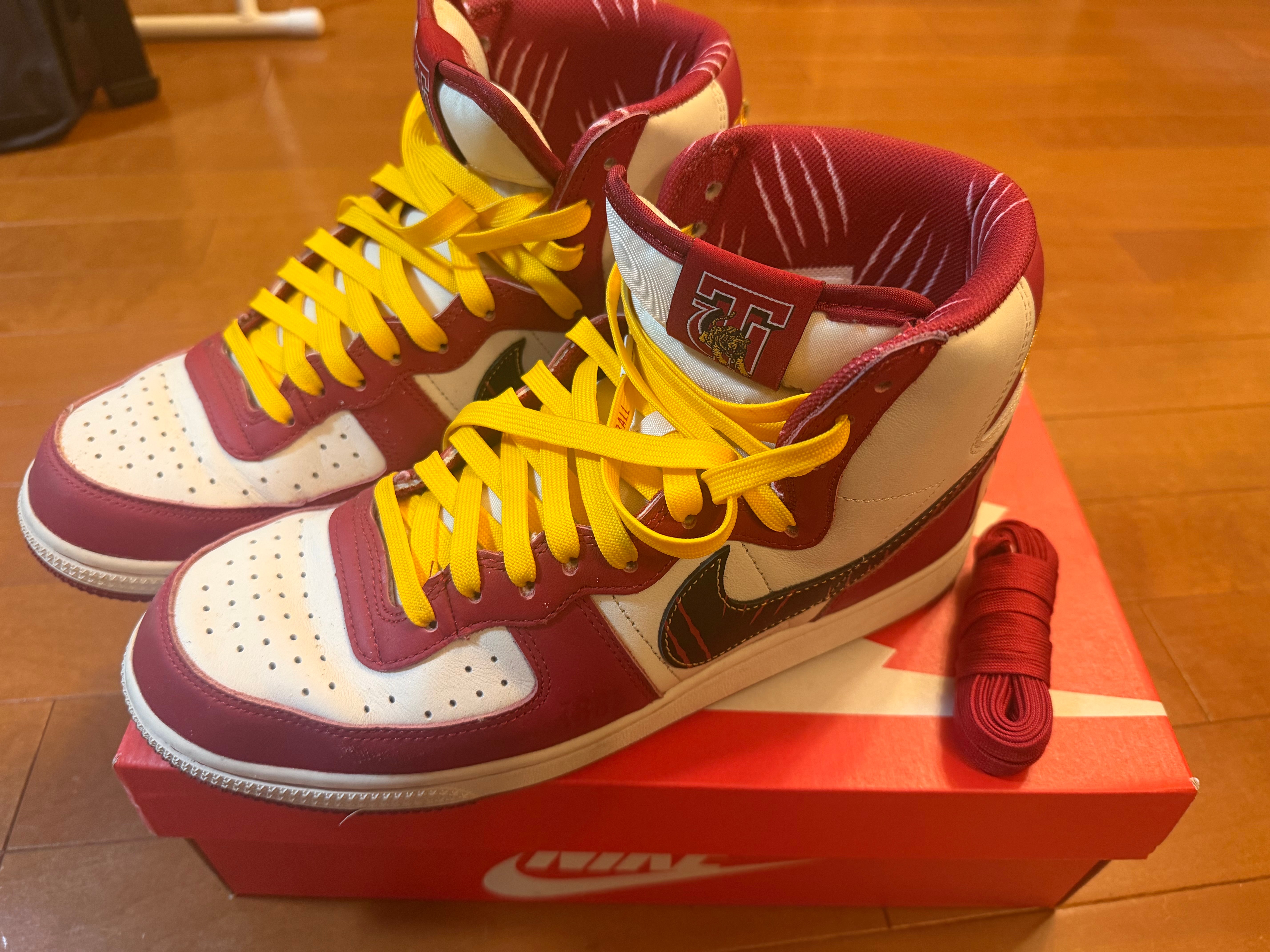Nike Terminator High "Tuskegee Institute"