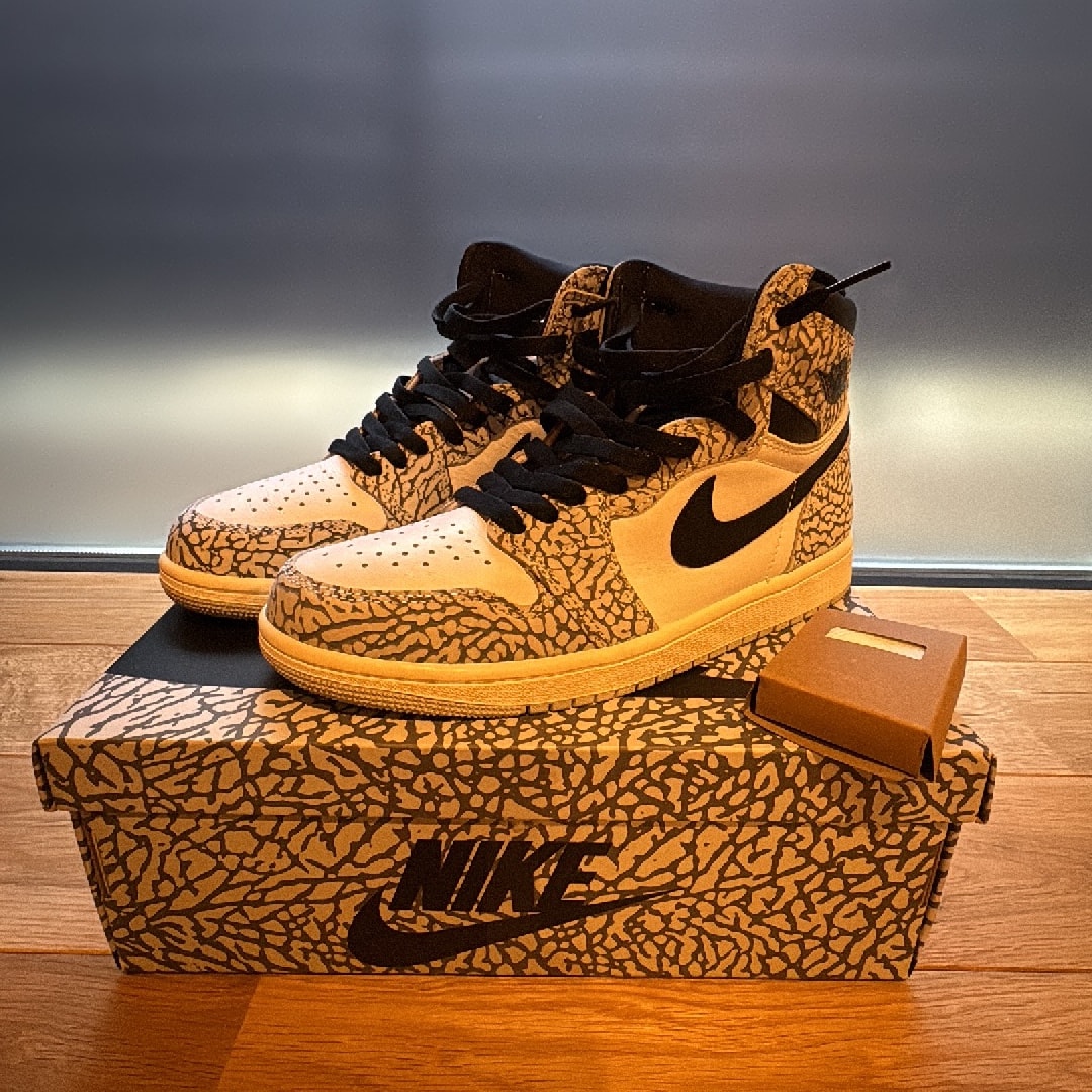 Nike Air Jordan 1 High OG "White Cement/Safari"