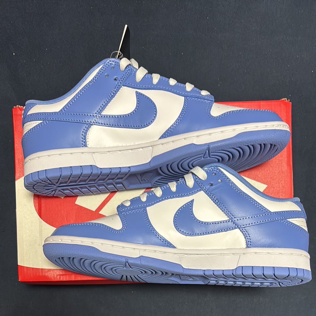 Nike Dunk Low Retro BTTYS "Polar Blue"