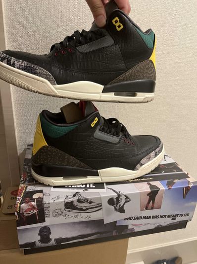Nike Air Jordan 3 Retro SE "Animal Instinct 2.0/Safari"