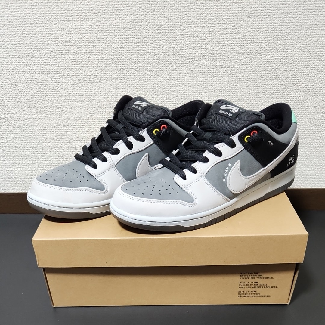 Nike SB Dunk Low Pro "VX1000 Camcorder"