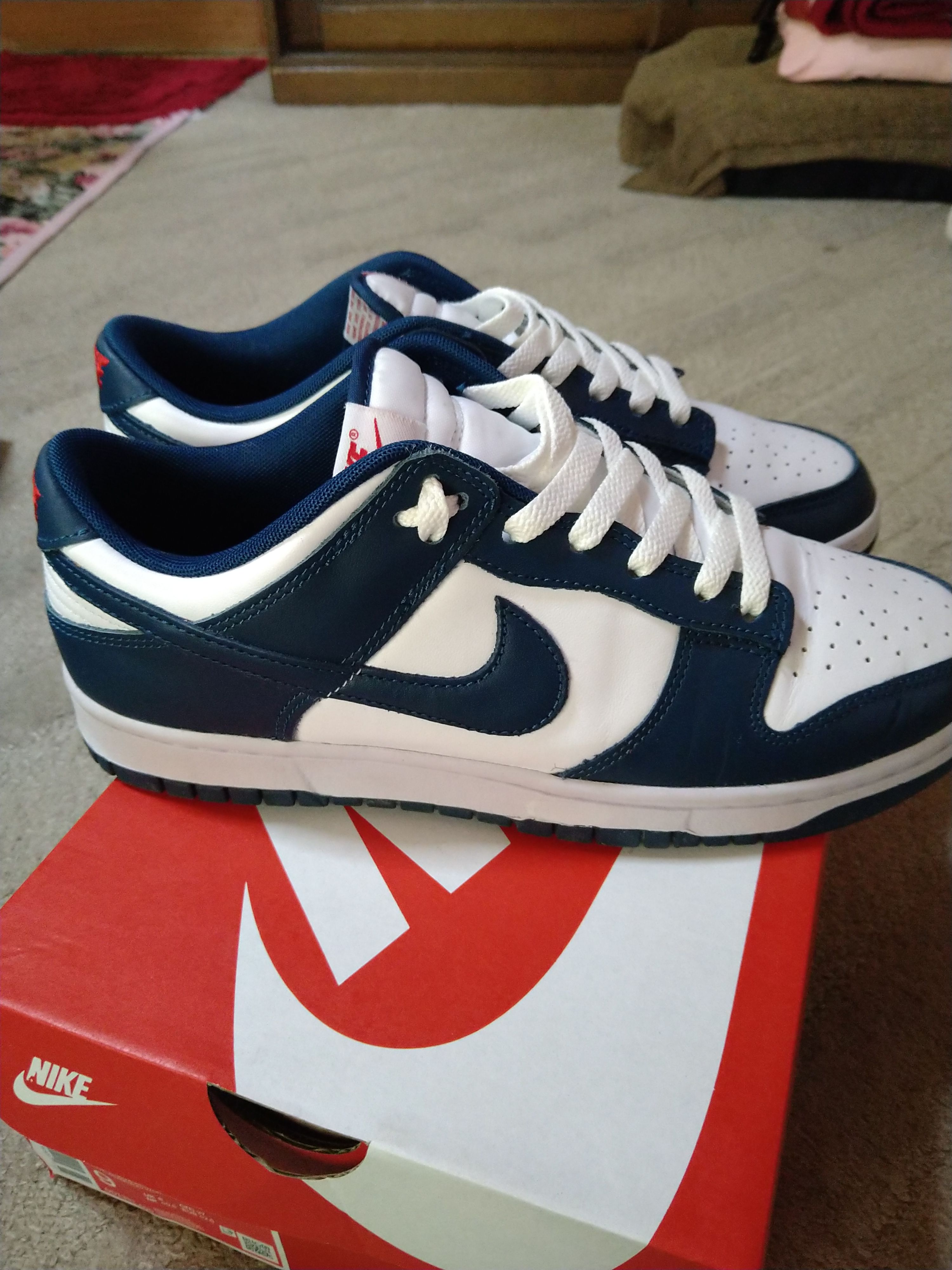 Nike Dunk Low "Valerian Blue"