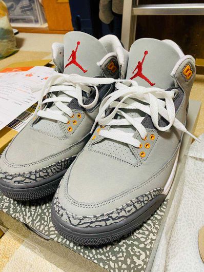 Nike Air Jordan 3 "Cool Grey"