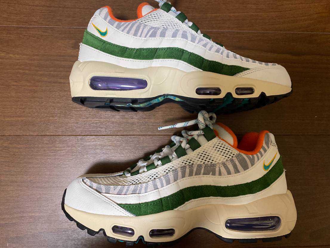 Nike Air Max 95 "ERA"
