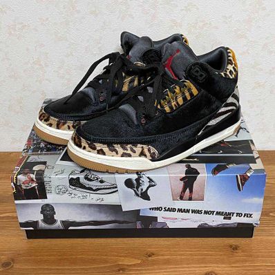 Nike Air Jordan 3 Retro SE "Animal Instinct/Safari"