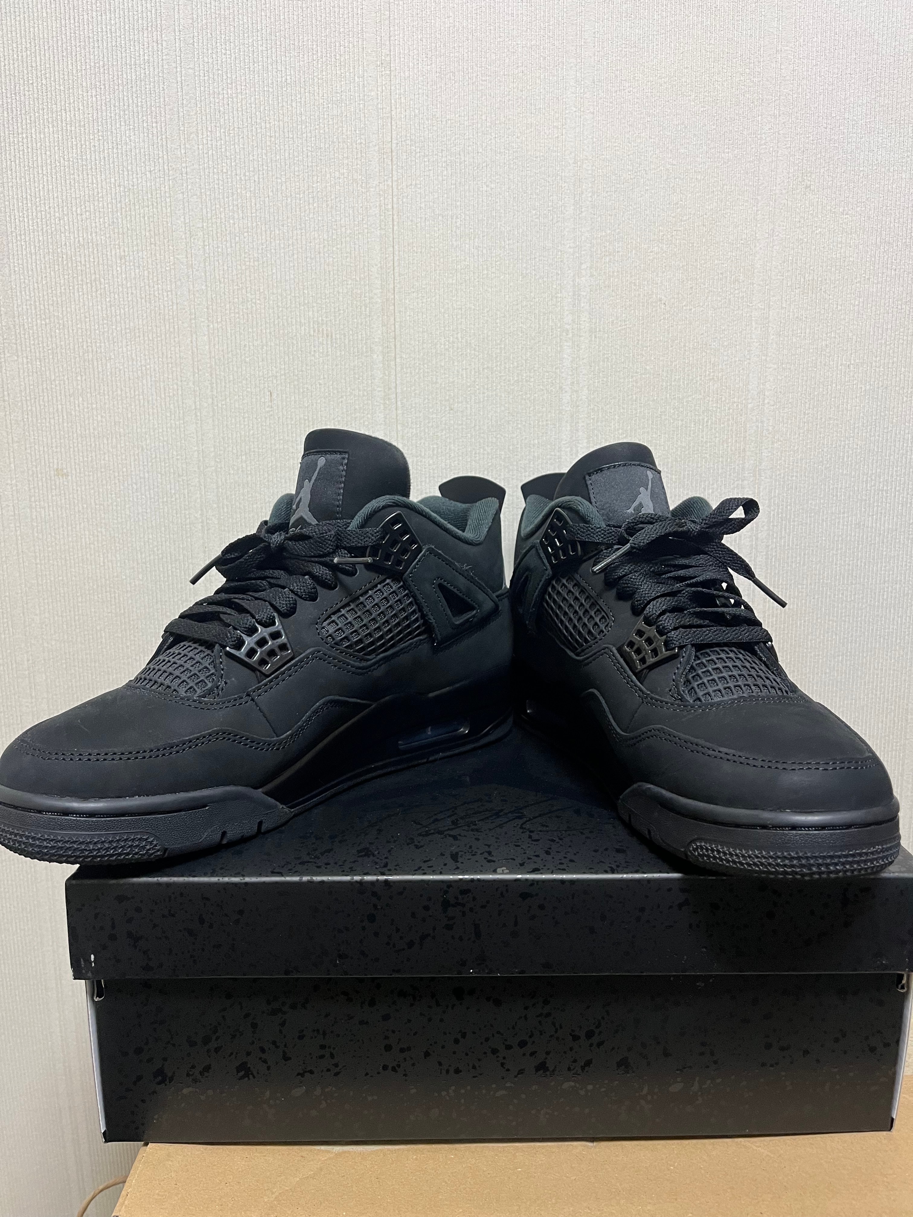 ナイキ エアジョーダン4 レトロ OG "ブラックキャット" (2025)