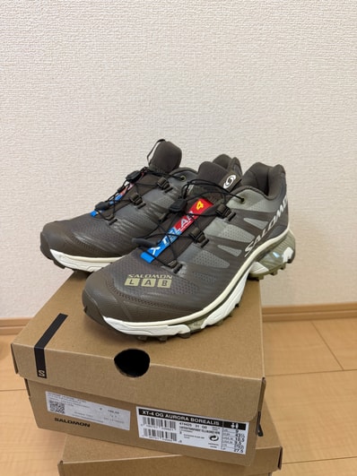 Salomon XT-4 OG Aurora Borealis "Canteen"