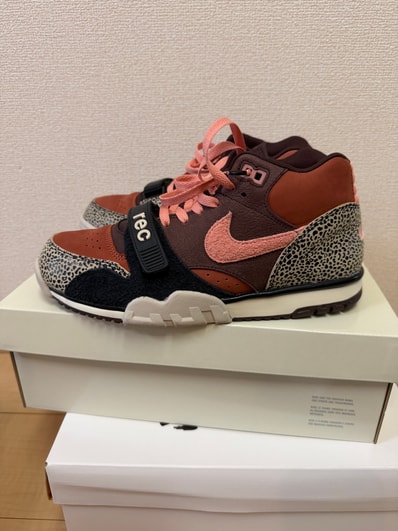 Arts Rec × Nike SB Air Trainer 1 "Earth and Dusty Peach"
