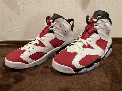 Nike Air Jordan 6 "Carmine" (2021)