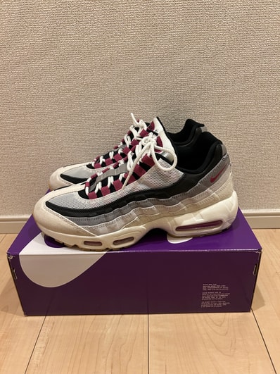 Nike SB Air Max 95 "Summit White/Cactus Flower"