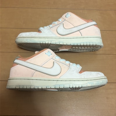 Nike SB Dunk Low Pro PRM "Crimson Tint and Amber Brown/Trocadero Gardens"