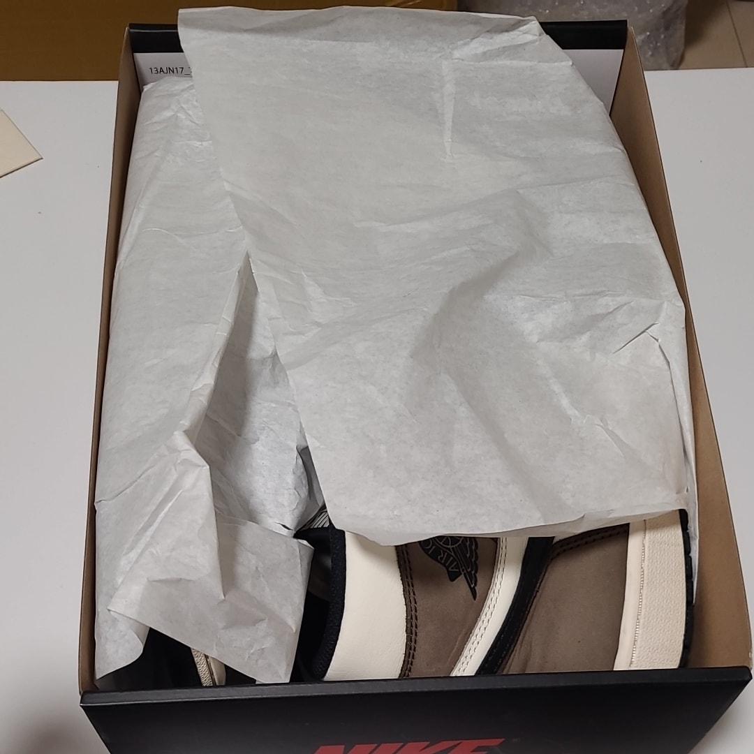 ナイキ エアジョーダン1 ハイ OG "セイル/ダークモカ/ブラック"