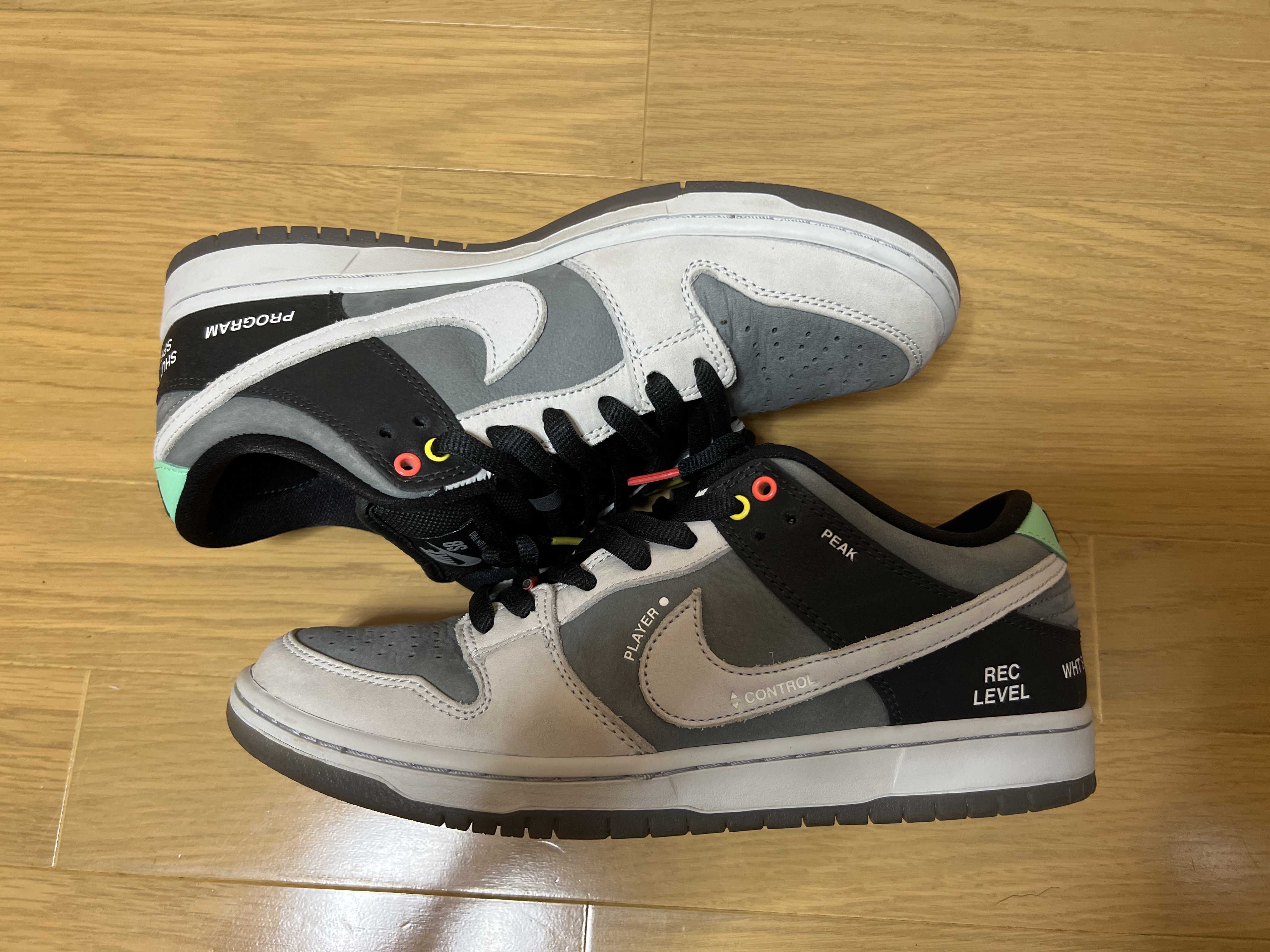 Nike SB Dunk Low Pro "VX1000 Camcorder"