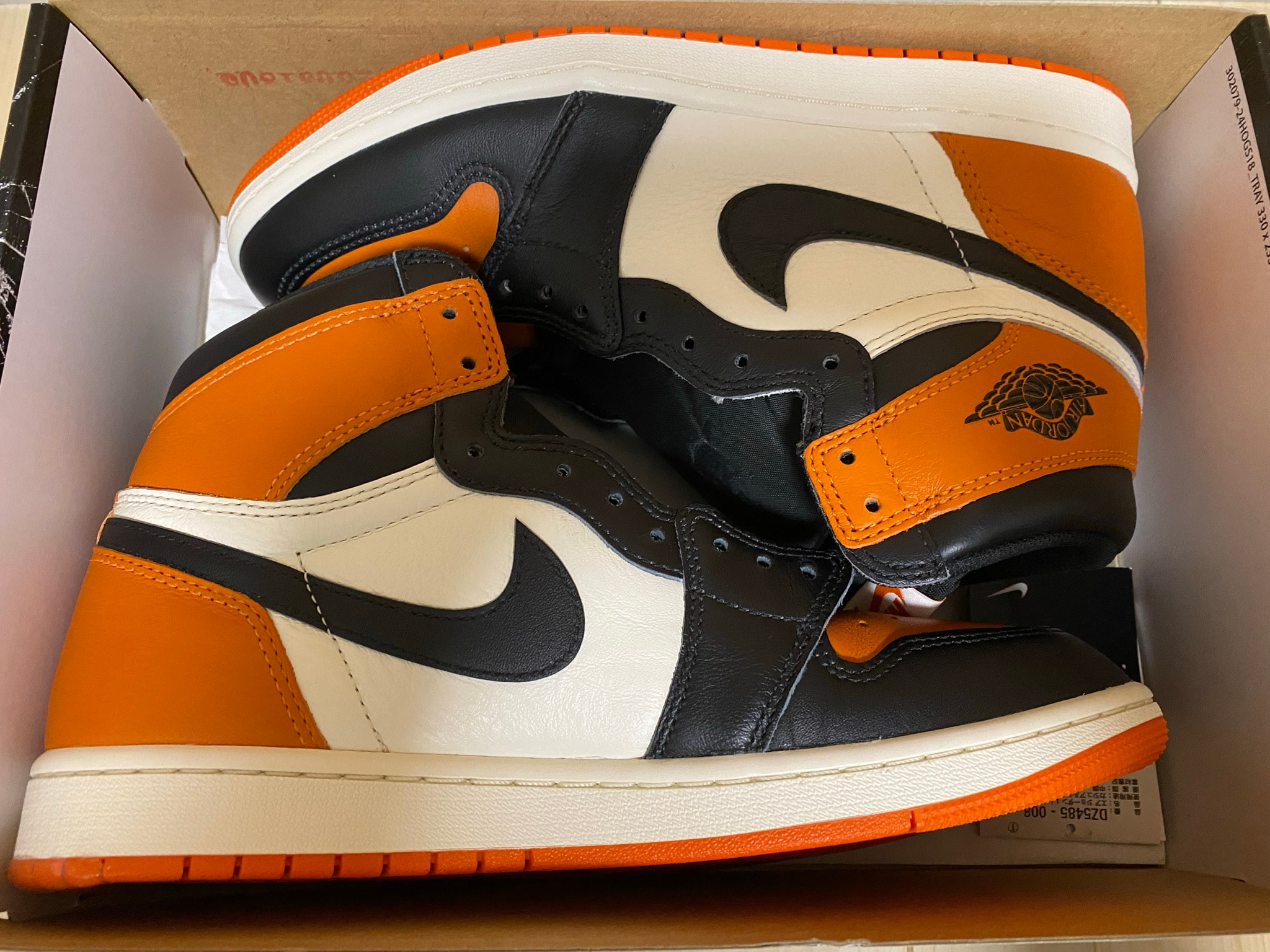 Nike Air Jordan 1 Retro High OG "Shattered Backboard" (2025)