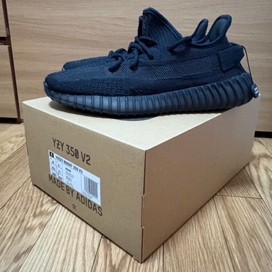 adidas YEEZY Boost 350V2 "Onyx"