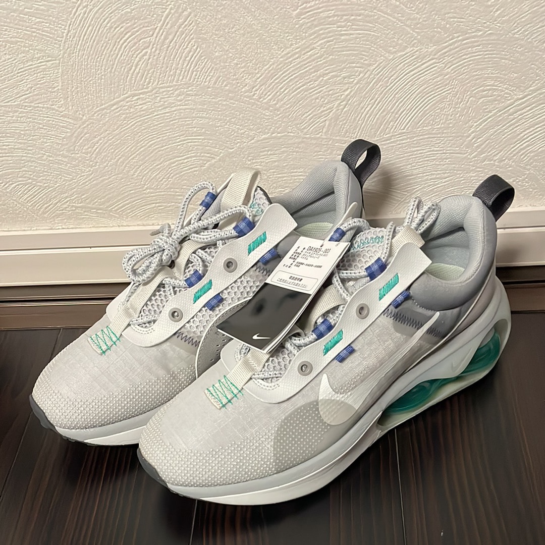 Nike Air Max 2021 "PTNDST/SWHT"