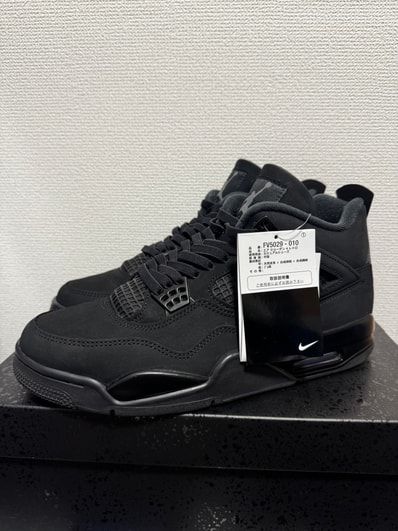 Nike Air Jordan 4 Retro OG "Black Cat" (2025)