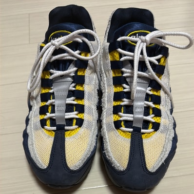 Eric Koston × Nike SB Air Max 95 "Obsidian and Speed Yellow"