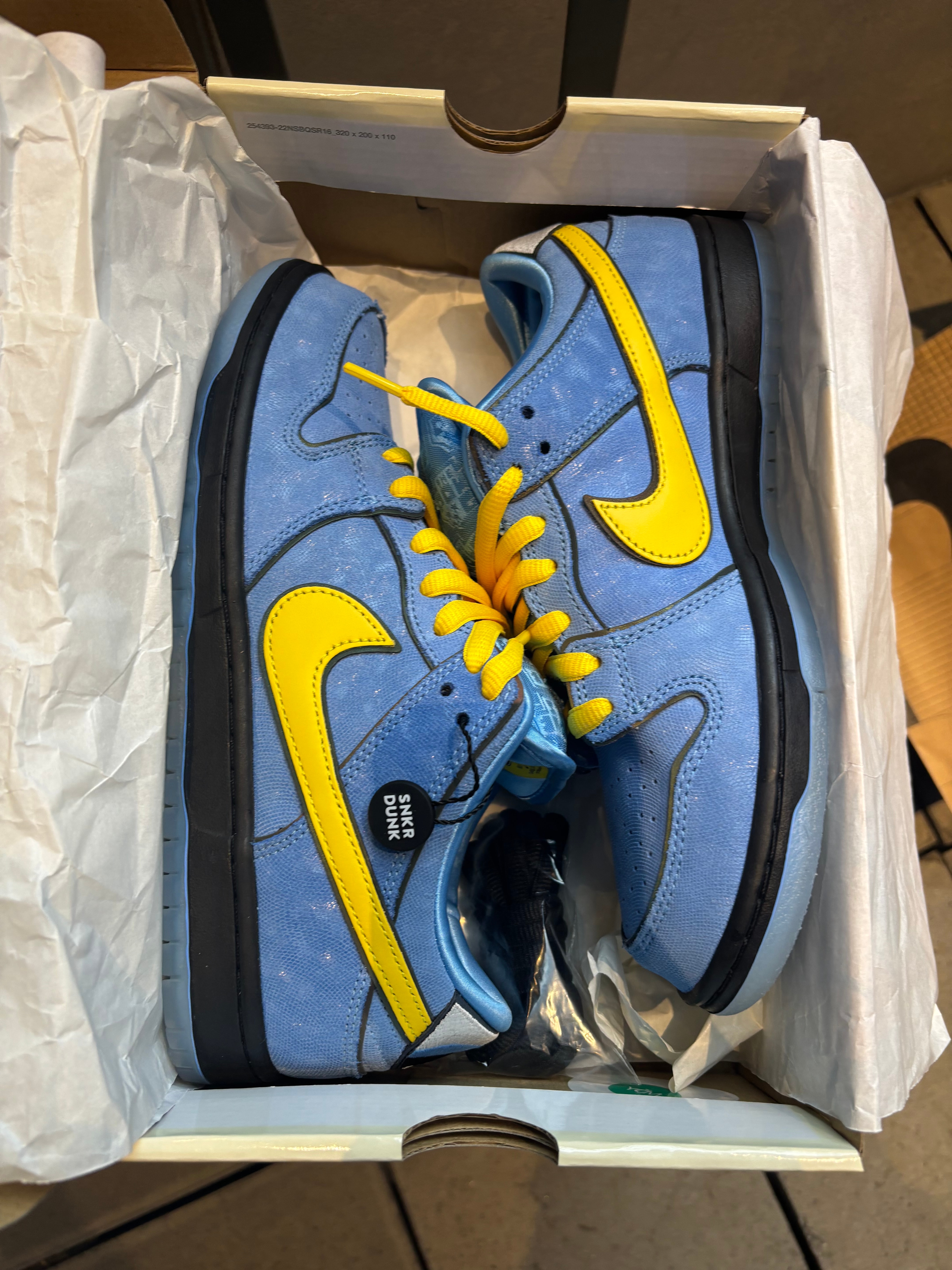 The Powerpuff Girls × Nike SB Dunk Low Pro QS "Bubbles"