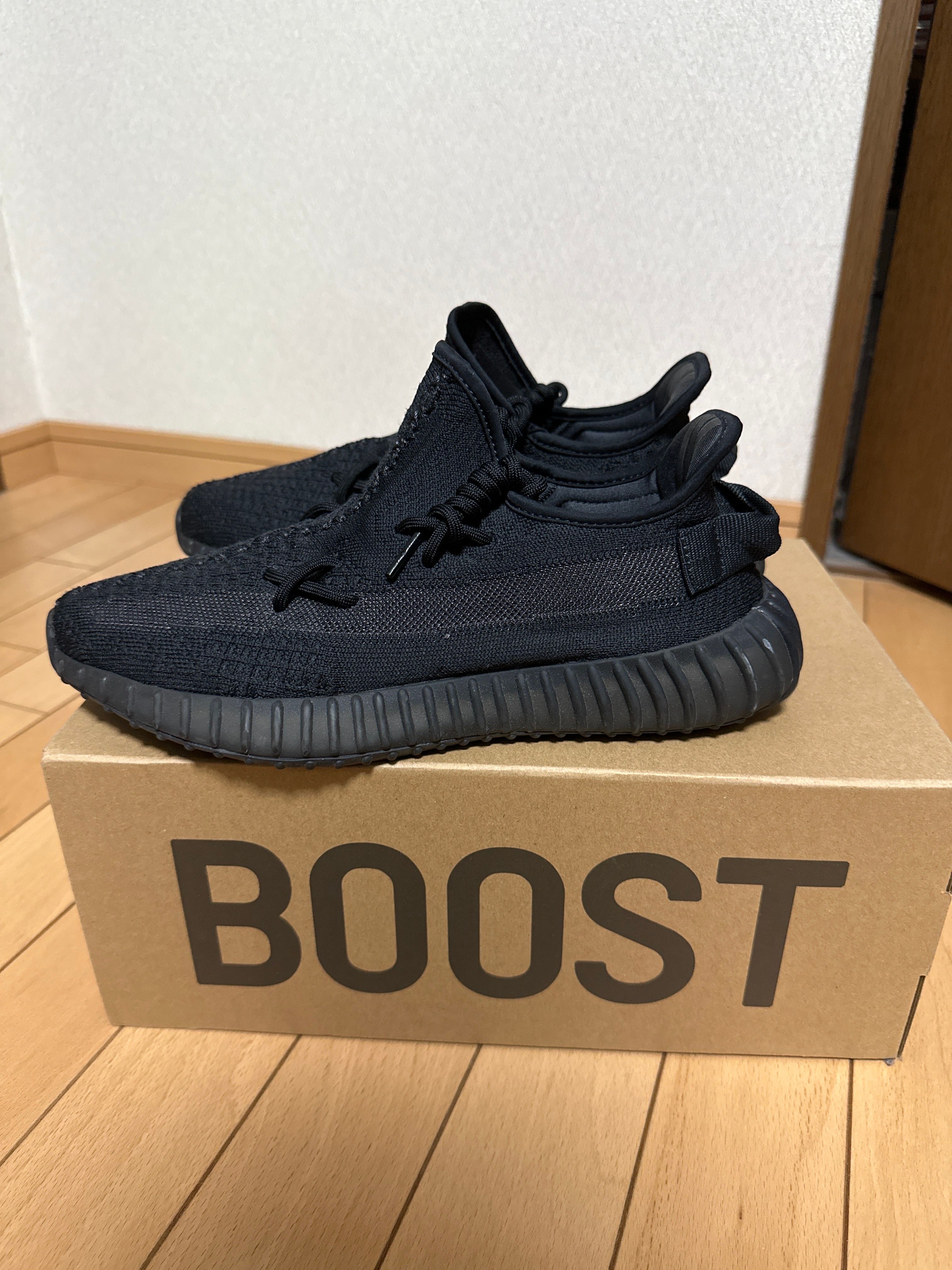 adidas YEEZY Boost 350V2 "Onyx"