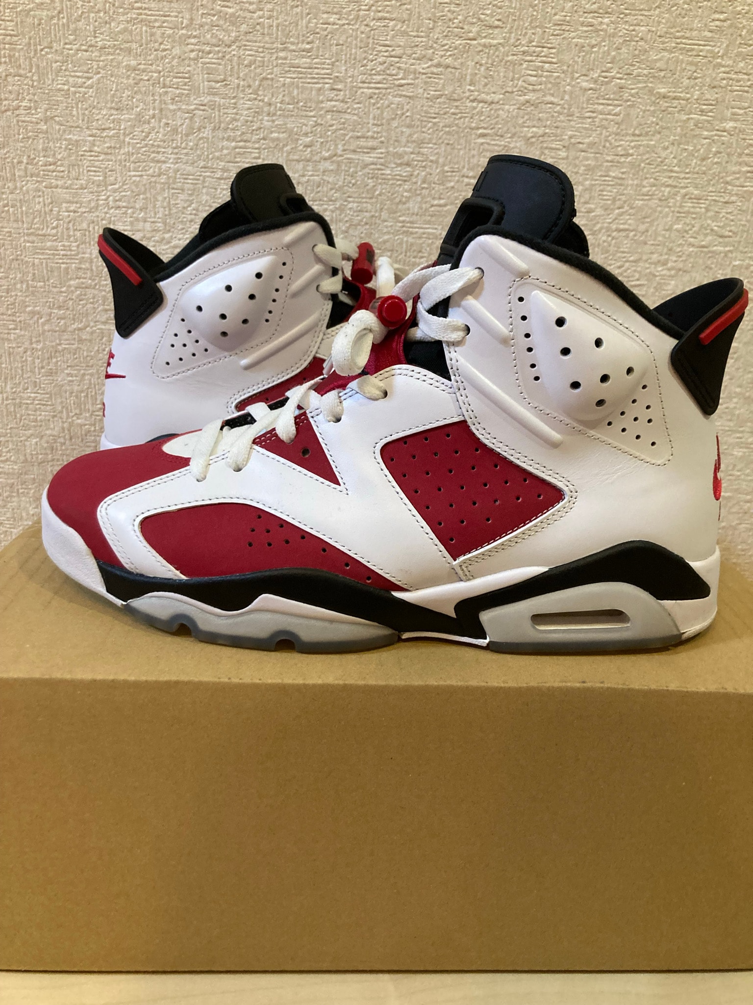 Nike Air Jordan 6 "Carmine" (2021)