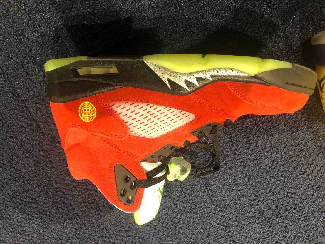 Nike Air Jordan 5 "What The"