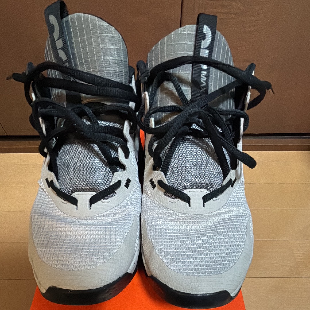 Nike Air Max Alpha Trainer 5 "Light Iron Ore/Flat Pewter/Black"