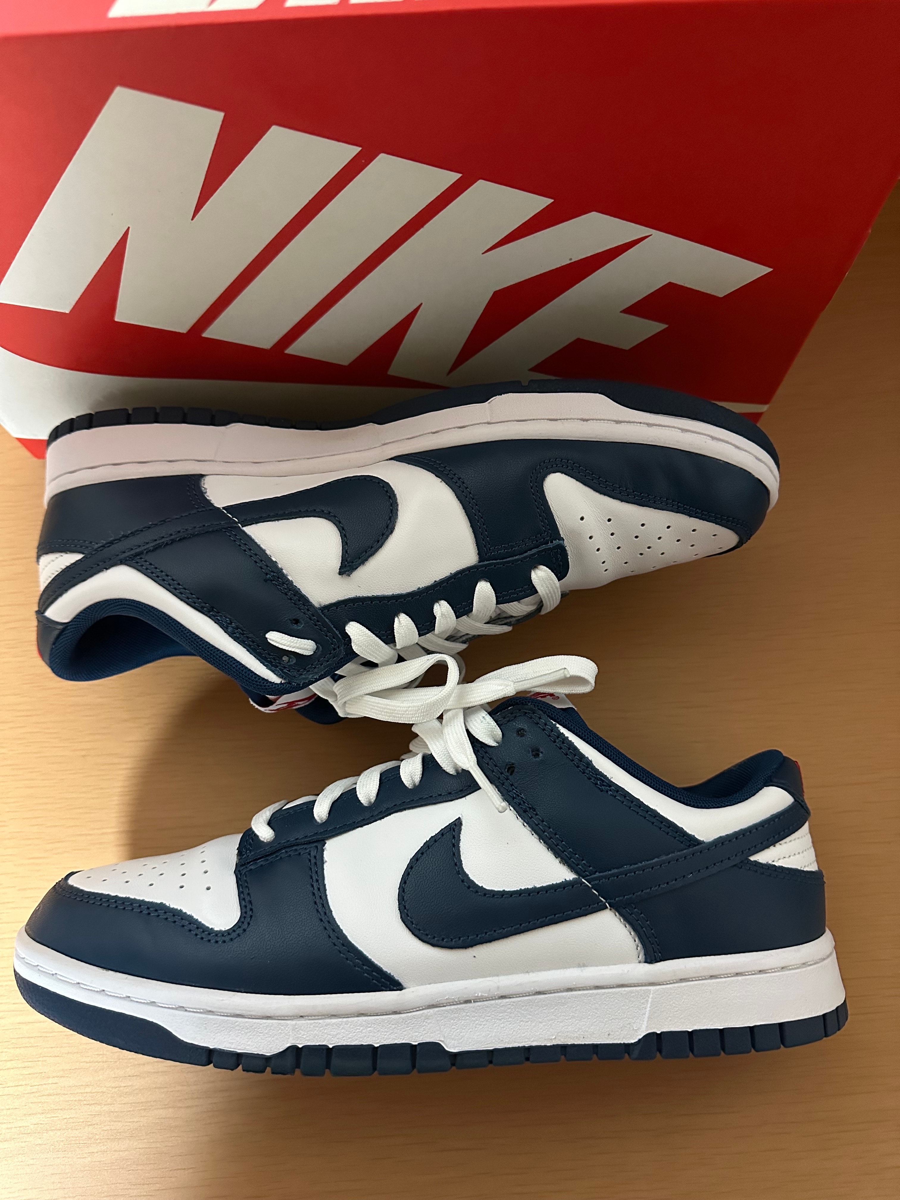 Nike Dunk Low "Valerian Blue"