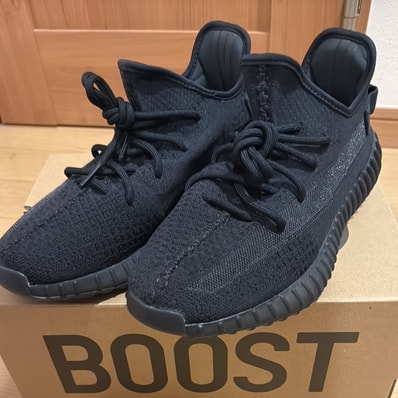 adidas YEEZY Boost 350V2 "Onyx"