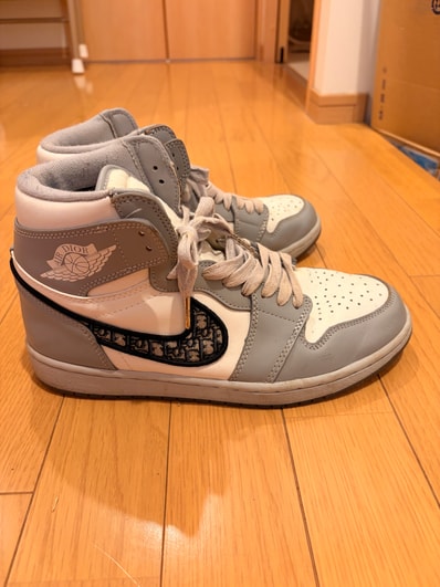Dior × Nike Air Jordan 1 High OG "Wolf Grey"