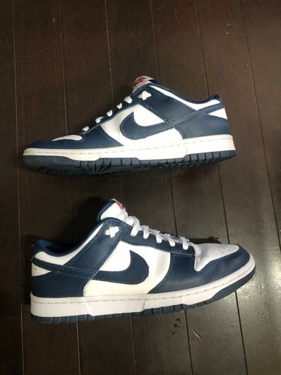 Nike Dunk Low "Valerian Blue"