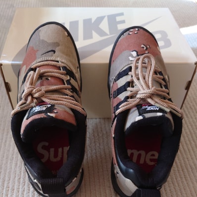 Supreme × Nike SB Darwin Low "Desert Camo"