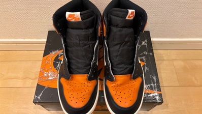 Nike Air Jordan 1 Retro High OG "Shattered Backboard" (2025)