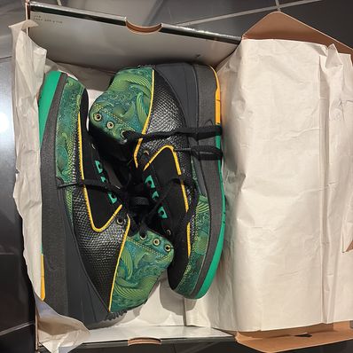 Nike Air Jordan 2 Retro "Doernbecher Peacock"