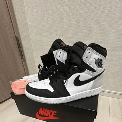 Nike Air Jordan 1 High OG "Bleached Coral"