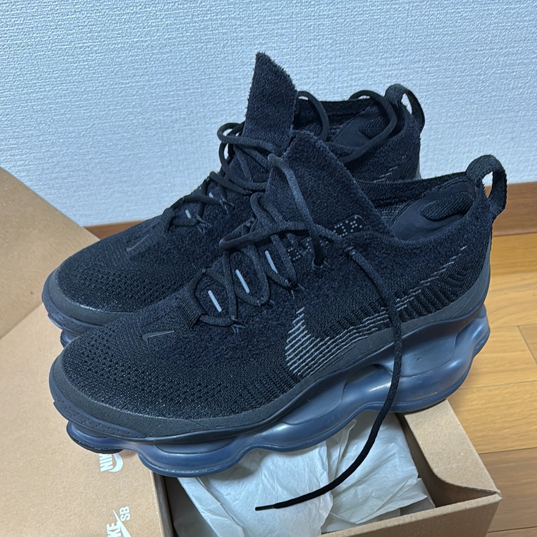 ナイキ エアマックス スコーピオン "ブラック"