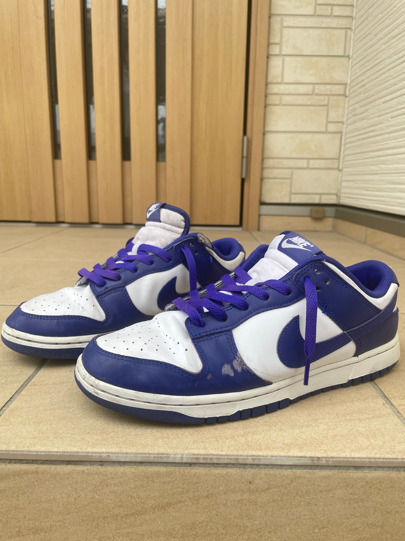 Nike Dunk Low Retro "Concord"
