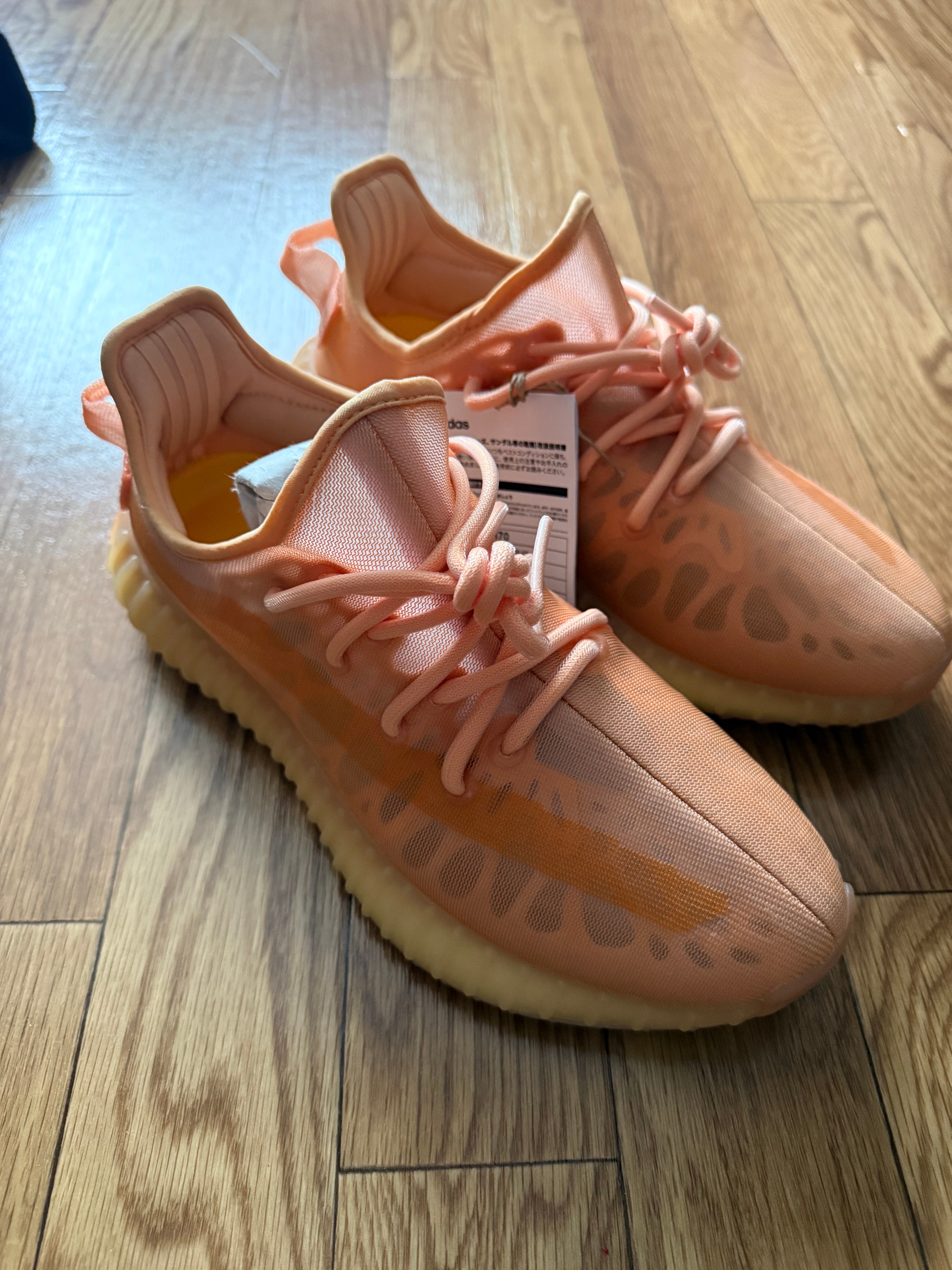 adidas YEEZY Boost 350 V2 "Mono Clay"