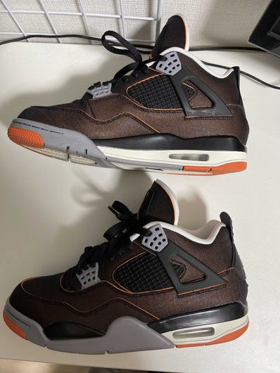 NIKE AIR JORDAN 4 Women's "STARFISH"