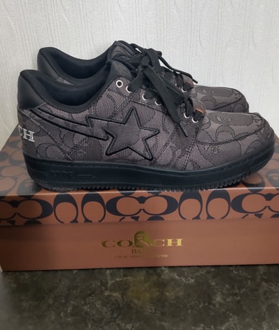 A Bating Ape × Coach Bapesta "Black"
