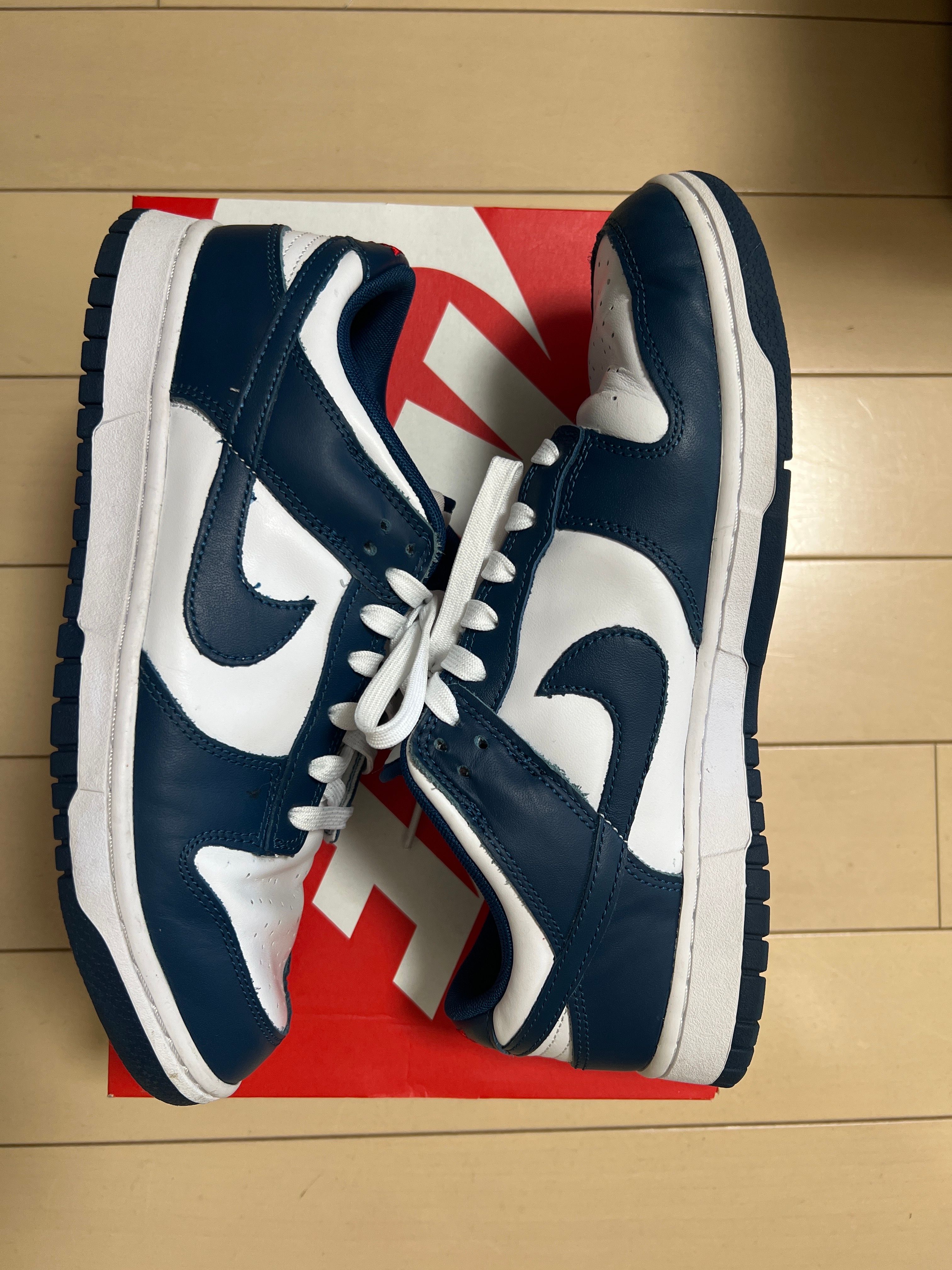 Nike Dunk Low "Valerian Blue"