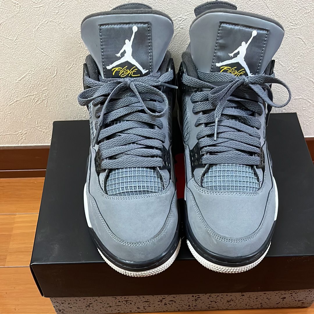 Nike Air Jordan 4 "Cool Grey"