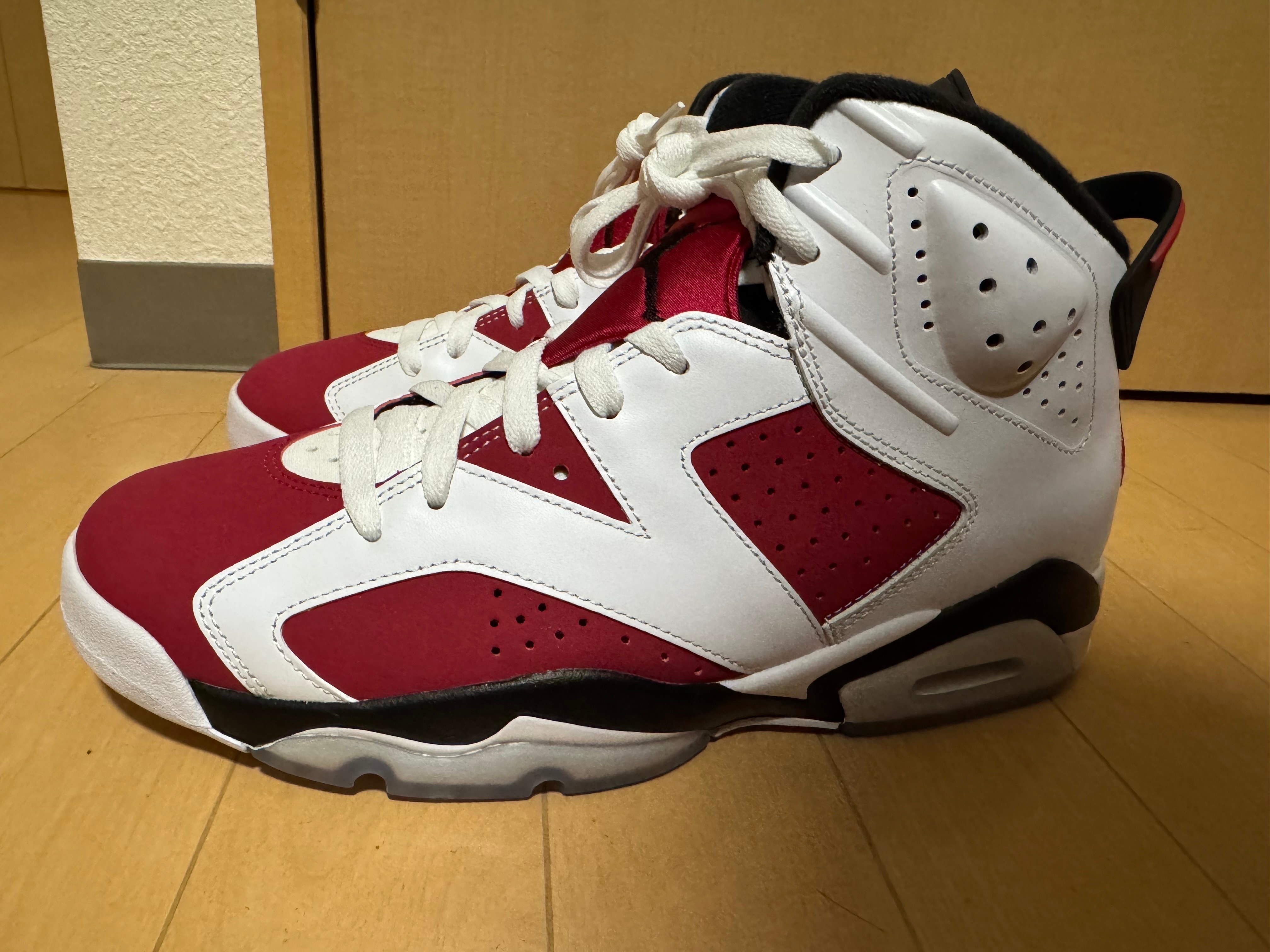 Nike Air Jordan 6 "Carmine" (2021)