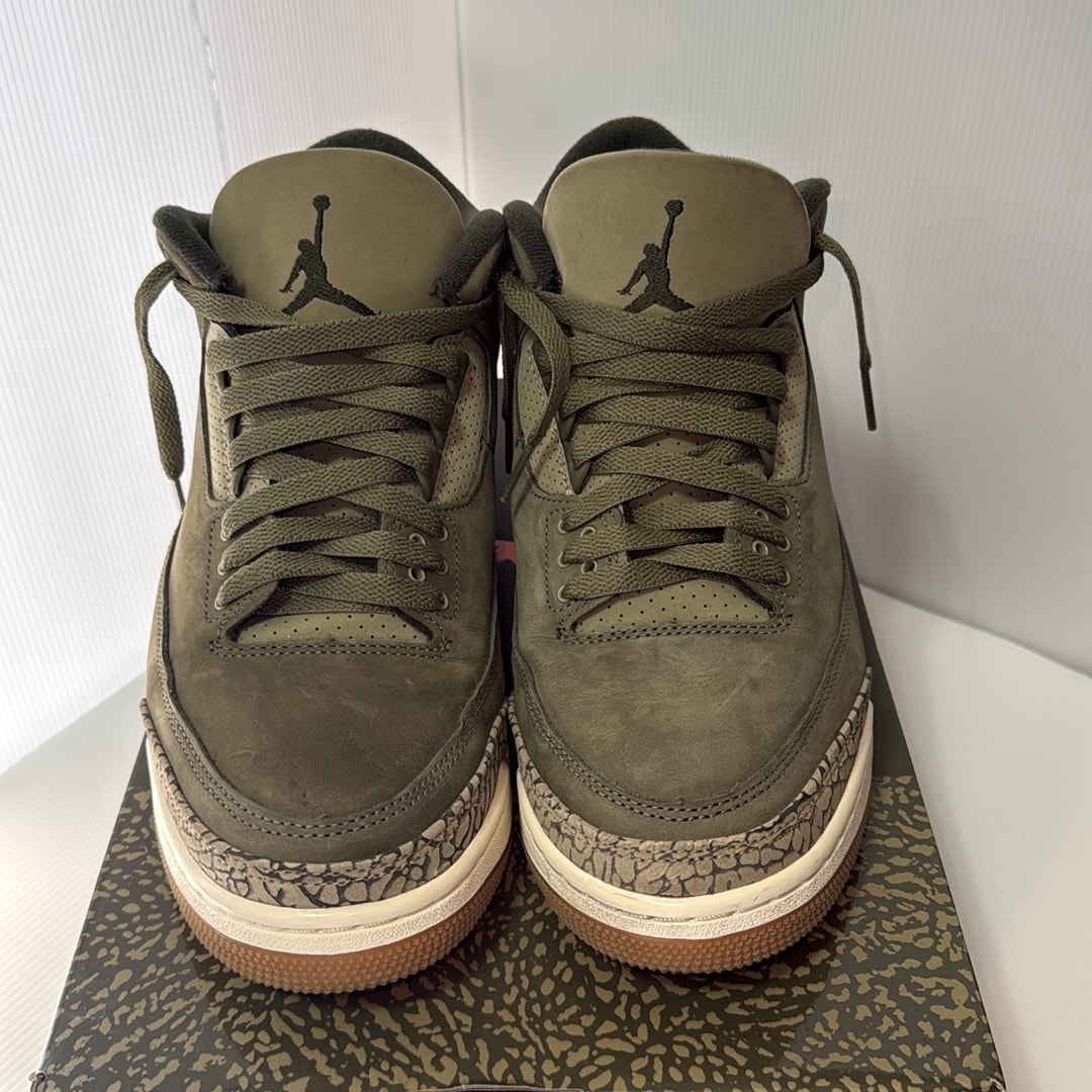 Nike Air Jordan 3 Retro "Family Affair"