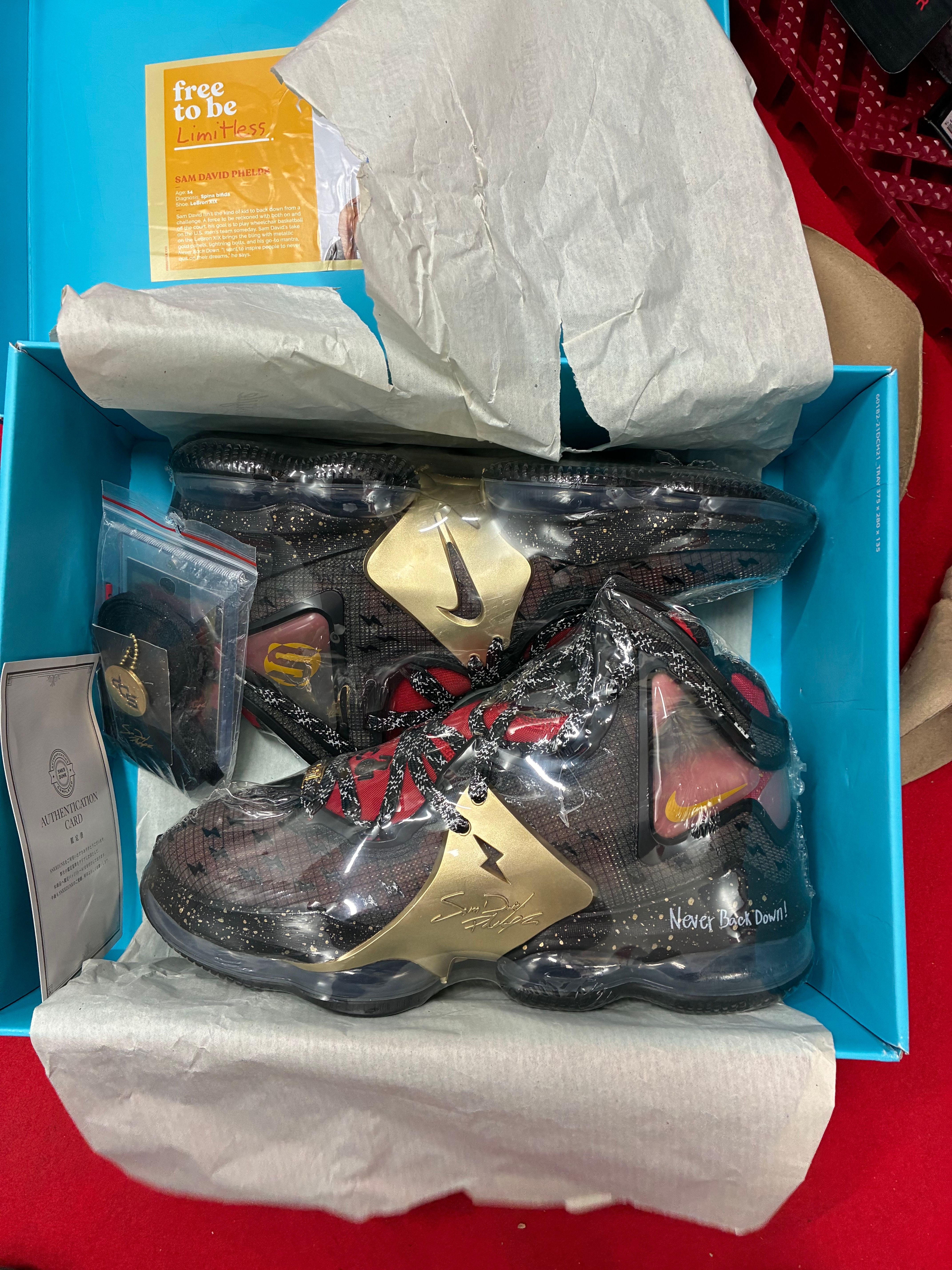 Nike Lebron 19 Doernbecher Sam David "Black/Red"