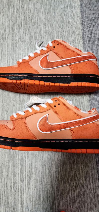 Concepts × Nike SB Dunk Low SP "Orange Lobster"